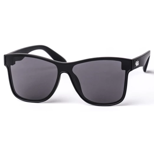 Pitcha BORRA sunglasses black/black