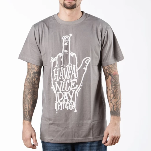 T-shirt Pitcha NICE DAY 2 grey
